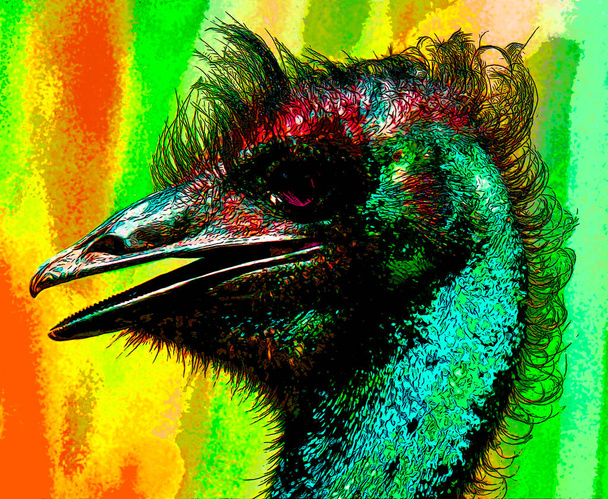 グレーターレア(レア・アメリカーナ)は、南米東部で発見された飛行性のない鳥です。 - 写真・画像