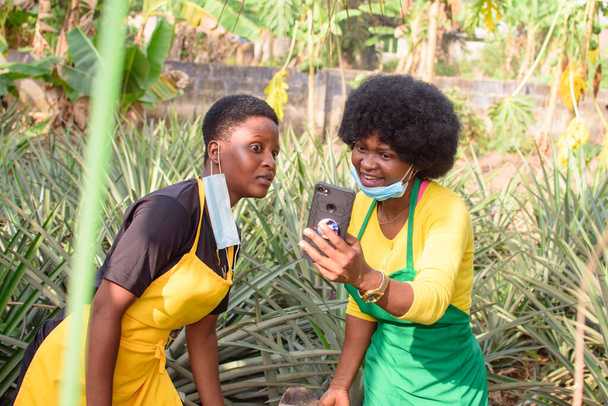 Two happy African female farmers, business women or entrepreneurs with nose mask, looking into a smart phone on a farm as they prepare for harvest and success of their farming business - Valokuva, kuva