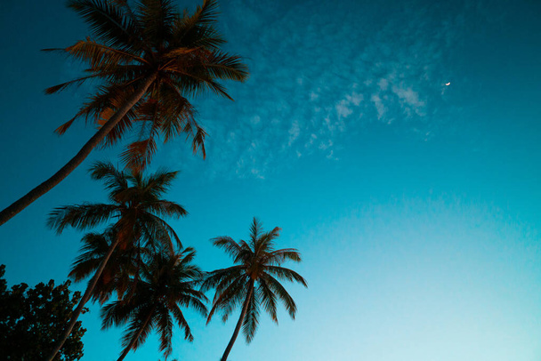 Bella spiaggia tropicale e tramonto con palme in una giornata di sole, Maledives. - Foto, immagini
