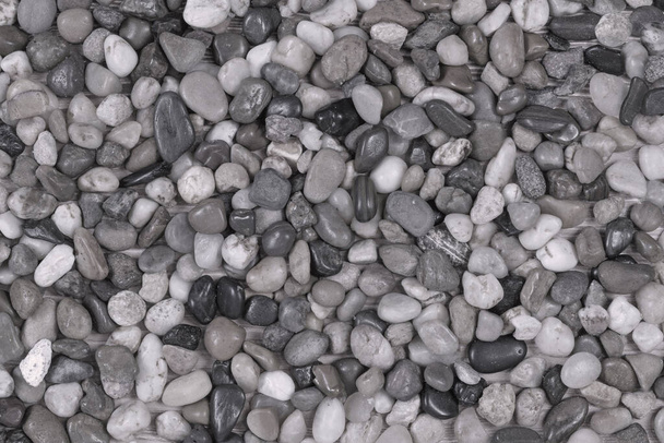 Closeup of small gray, black and white stones. - Φωτογραφία, εικόνα