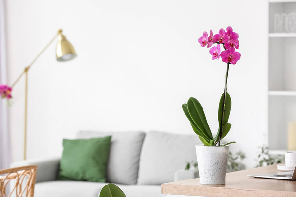 Beautiful orchid flower on table in light living room - Foto, Imagen