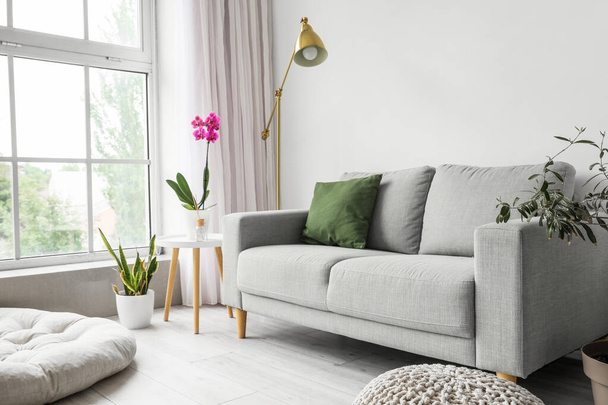 Інтер'єр вітальні з диваном і красивою орхідеєю на столі
 - Фото, зображення