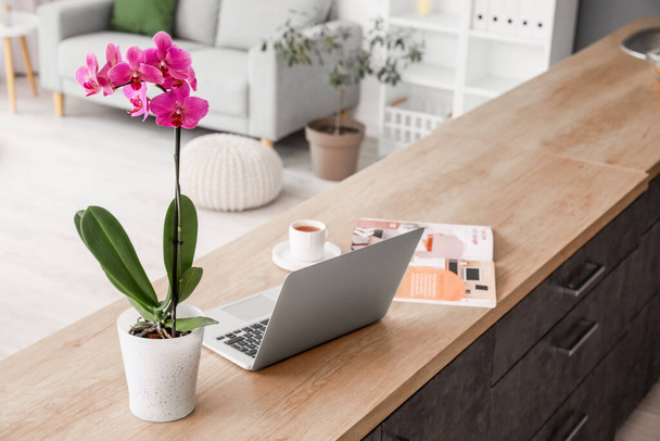 Beautiful orchid flower and laptop on kitchen counter - Фото, изображение