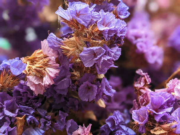 Colorful bouquet of Limonium sinuatum (notch leaf marsh rosemary, sea lavender, sea pink, statice, wavyleaf sea lavender) with a straw hat. Summer aesthetic composition. - Photo, Image