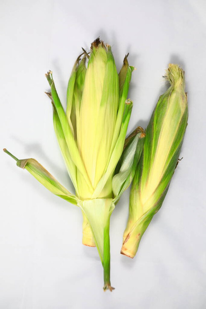 White Hokkaido Corn on a white background Not peeled - 写真・画像