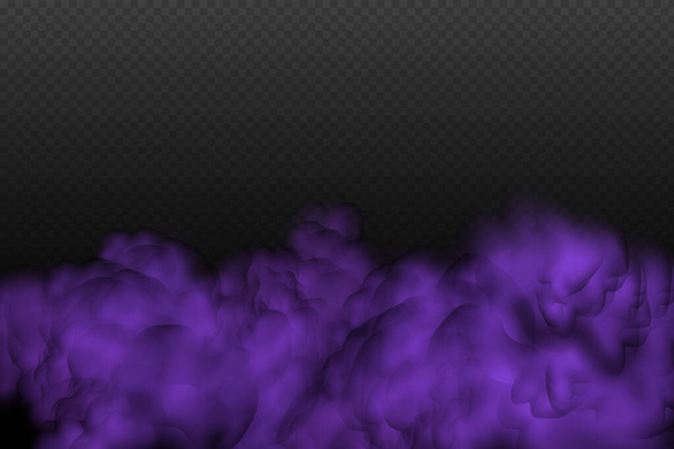 Lila giftige Gase, Staub und Rauch-Effekt. Realistischer gruseliger mystischer Veilchennebel in der Nacht zu Halloween. - Vektor, Bild