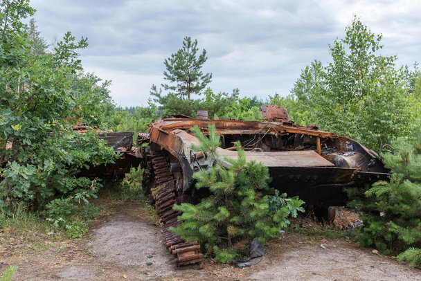 Russian burned rusty tracked infantry fighting vehicle destroyed in Russian invasion of Ukraine, 2022 among the different young trees on a forest edge.  - Photo, image
