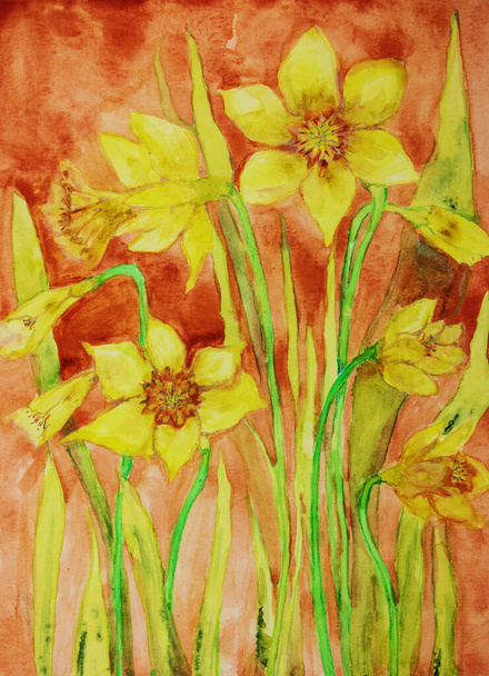 Daffodil with red background. The dabbing technique near the edges gives a soft focus effect due to the altered surface roughness of the paper. - Foto, Imagen