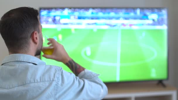 football fan dringing beer and watching world cup 2022 qatar at home. High quality 4k footage - Filmagem, Vídeo