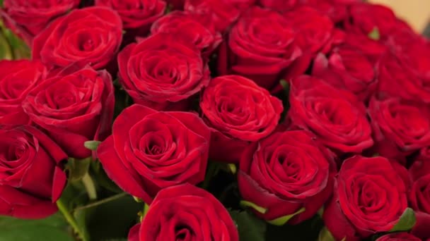 Blooming rose flowers, close-up. Beautiful red roses bouquet background. Wedding backdrop, Valentines Day concept - Záběry, video