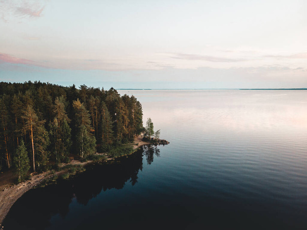 A breathtaking high-angle view of a dense forest next to a vast dark lake - Фото, зображення