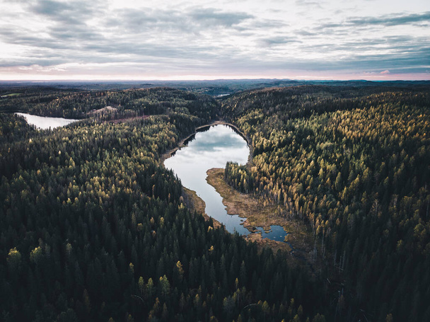 An aerial view of a lake surrounded by a green pine forest under a cloudy blue sky - Foto, Imagen