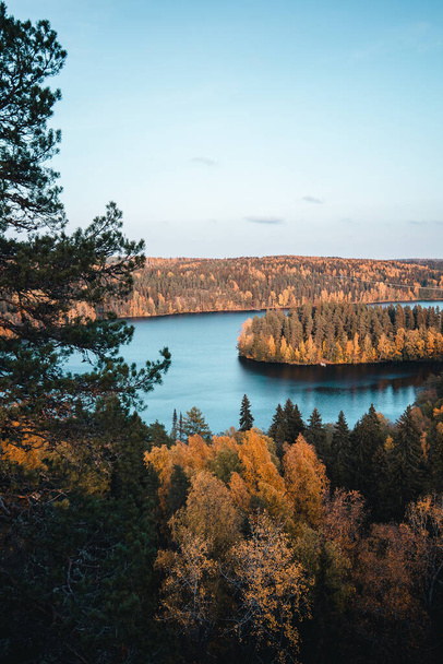 A vertical shot of a calm lake surrounded by trees - Photo, Image