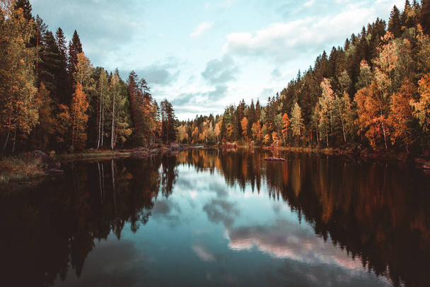 A scenic view of a lake surrounded by a green pine forest - Foto, Bild