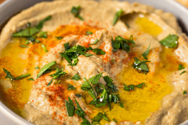 Homemade Eggplant Babaganoush Dip with Olive Oil and Pita Bread - Fotoğraf, Görsel