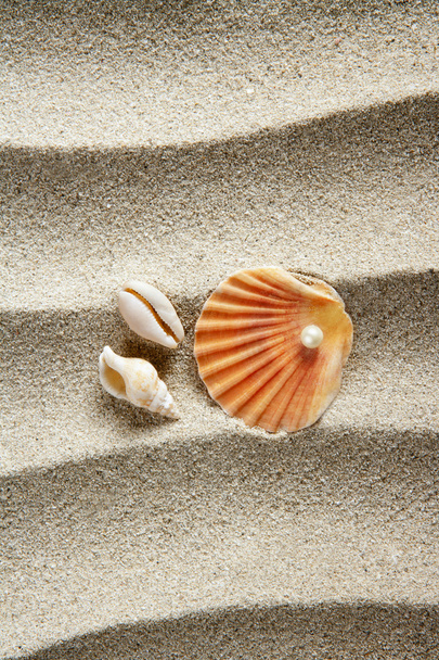 Beach sand pearl clam shell summer vacation - Φωτογραφία, εικόνα