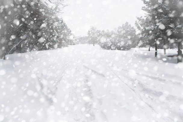 Téli havas út - Fotó, kép
