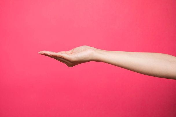 Empty female hand pretending holding something, isolated on pink background. High quality photo - Фото, зображення
