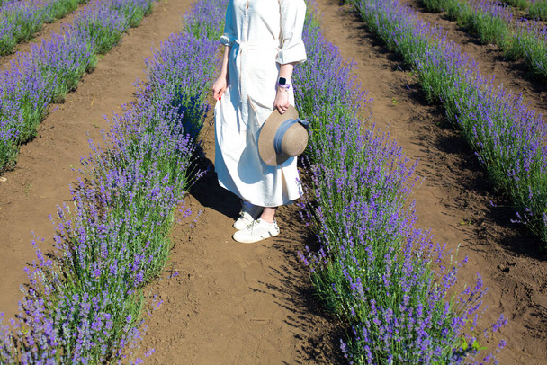 Ragazza in abito di lino bianco a piedi in bellissimi fiori viola lavanda sul campo estivo. Concetto caldo e di ispirazione. Wanderlust e viaggiare. - Foto, immagini