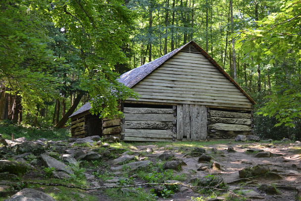 antigua casa de madera en el bosque - Foto, imagen