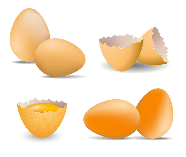 набір реалістичних курячих яєць зламаних або потрісканих яєць з яєчною шкаралупою або твердою вареною яєчною куркою або жовтими свіжими сирими яйцями. вектор eps
 - Вектор, зображення