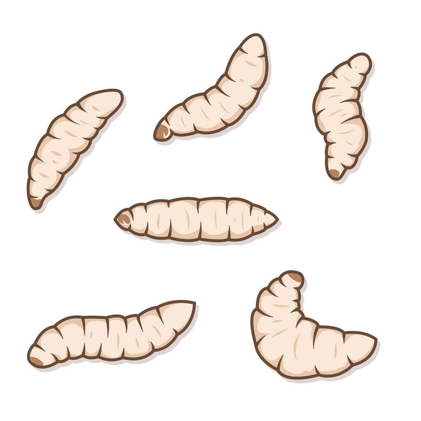 Illustrations of maggots worms isolated on white background - Διάνυσμα, εικόνα