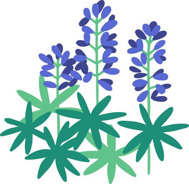 vector illustration of beautiful Lavender flowers - Vetor, Imagem