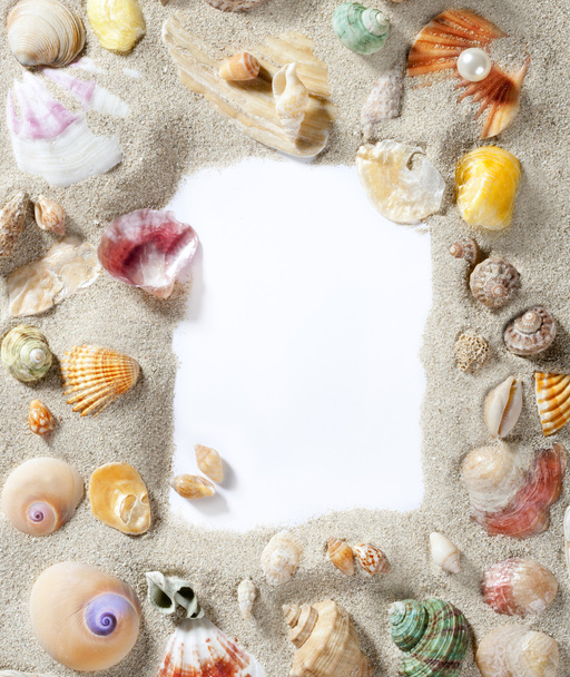 Confine cornice estate spiaggia shell spazio vuoto copia
 - Foto, immagini