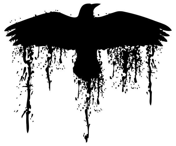 Raven, černá a bílá - Vektor, obrázek