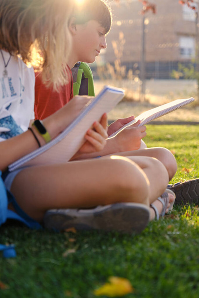 Teenage friends studying in the park - Фото, изображение