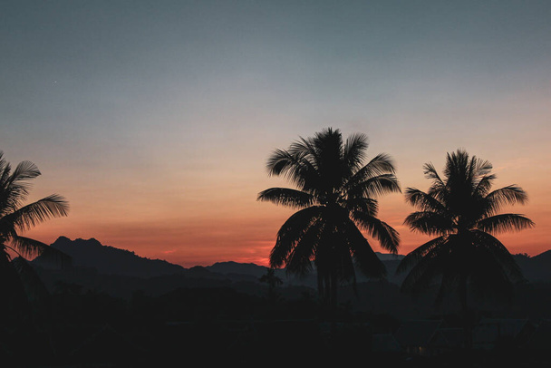 The mesmerizing sunset sky over the hills with the silhouette of palms on the foreground - Foto, Imagen