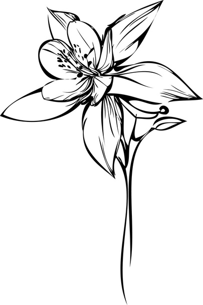 Small orchid - Vector, Image