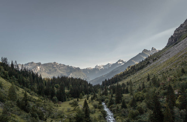 Μια όμορφη θέα μιας κοιλάδας του βουνού με ένα στενό ρυάκι που ρέει μέσα στα γαλλικά Άλπεις - Φωτογραφία, εικόνα