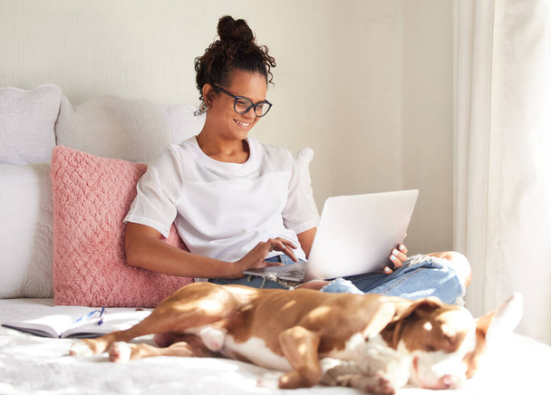 Вибачте, Канте, мій собака хоче охолодитися. красива молода жінка використовує ноутбук, розслабляючись зі своєю собакою в ліжку вдома
 - Фото, зображення