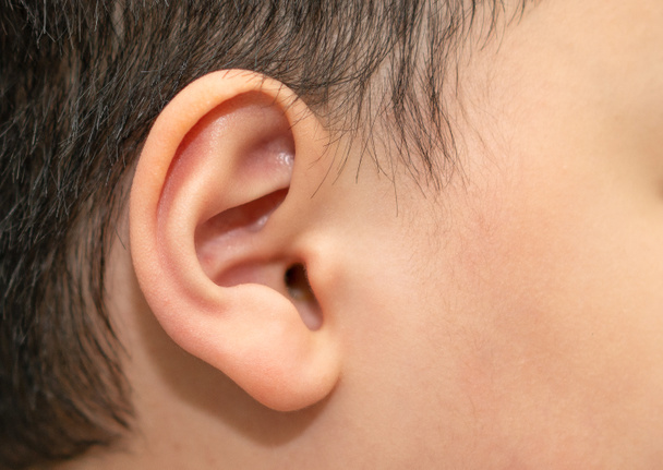 дитяче вухо для слухання або слухання концепції
 - Фото, зображення