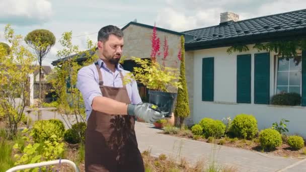 Florist man examines a pot with a plant. Plant care. A landscape designer examines plants and flowers - Video, Çekim