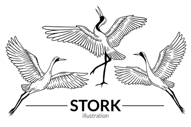 Set Stork Bird Flying Tropical cartoon Wild birds cranes Hand Drawn - Vektor, Bild