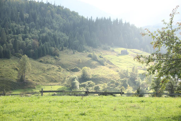 Beautiful view with wooden fence and conifer mountain forest - Foto, afbeelding