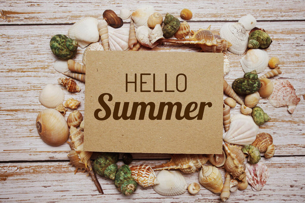 Hello Summer text message decoration with seashell on wooden background - Фото, зображення