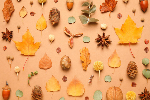 Flat lay composition with autumn leaves on pale orange background - Foto, afbeelding