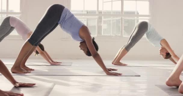 Filmagem de vídeo 4k de um grupo de jovens que se exercitam em um estúdio de ioga juntos. - Filmagem, Vídeo