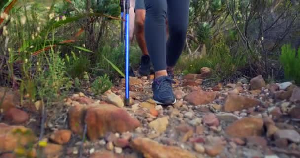 Closeup of hikers walking on stones down a rocky trail on a mountain with hiking sticks. Group of active and adventurous friends exploring a rugged path in nature. Feet of tourists on a trek outdoors. - Filmagem, Vídeo