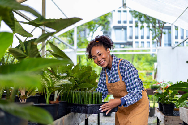 African American gardener is working inside her greenhouse at nursery garden center for native and exotic plant grower - Фото, изображение