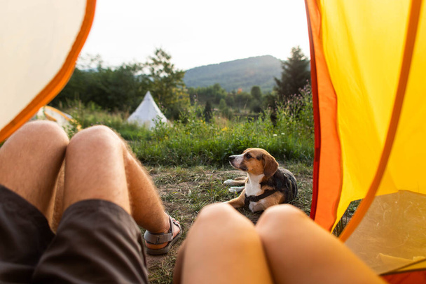 people with a dog in a tent at a campsite - Foto, imagen