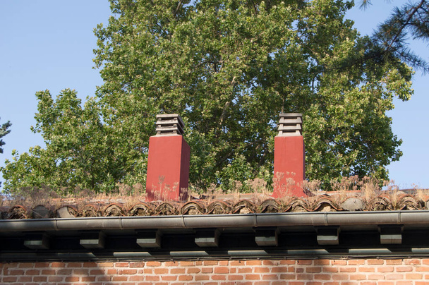 tiled roof with two identical red chimneys and a tree behind - Foto, Imagen