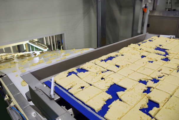 Bisküviler için hamur kesme hattı. En son bisküvi üretim hattı. Büyük bisküvi fabrikası - Fotoğraf, Görsel