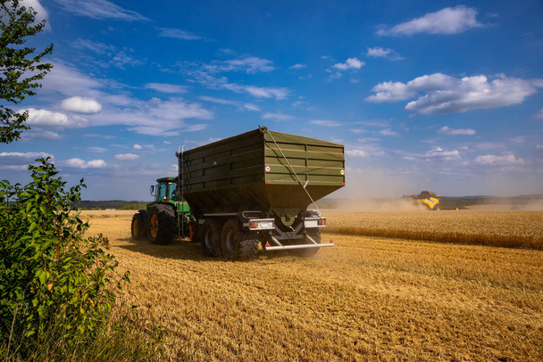 Combine harvester harvesting ripe wheat. Harvesting in Ukraine during the war and the world crisis for grain. - Foto, Imagen