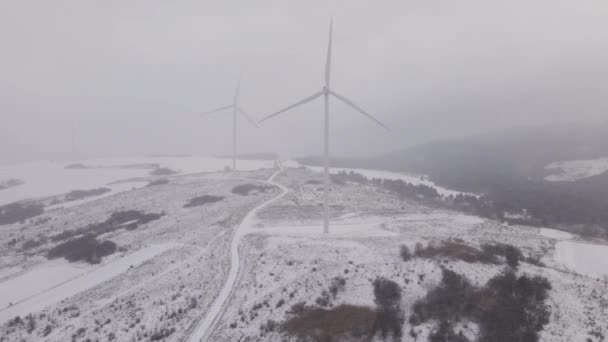 Kışın Rüzgar Çiftliği 'nin Hava Görüntüsü Ukrayna' daki Kar Tarlası 'nda Dönen Türbinler - Video, Çekim