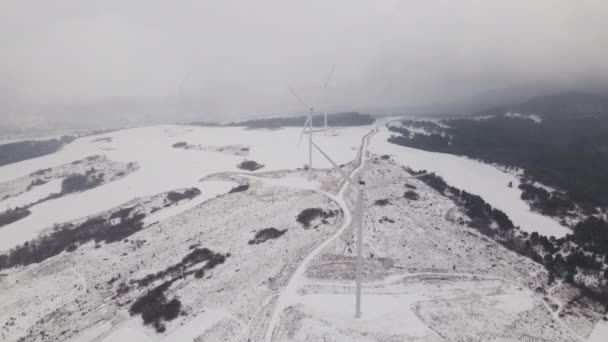 Widok z lotu ptaka na farmę wiatrową w zimie, Obrotowe turbiny na zaśnieżonym polu na Ukrainie - Materiał filmowy, wideo