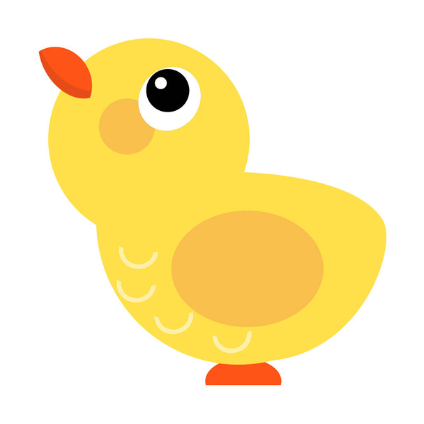 Cartoon scene little chicken is standing looking and smiling on white background illustration for children - Foto, afbeelding